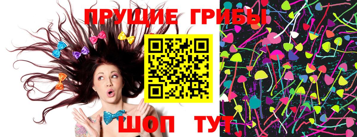 Псилоцибиновые грибы GOLDEN TEACHER Ишим