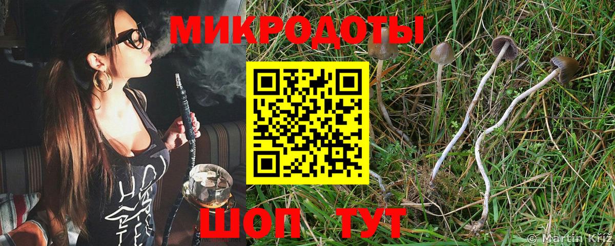Галлюциногенные грибы прущие грибы  Псилоцибиновые грибы GOLDEN TEACHER  Вход с VPN  Ишим 